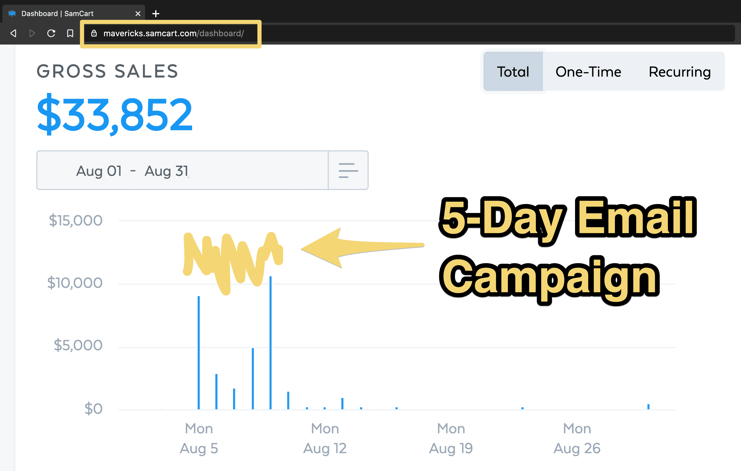 Add The 5-Day Email Campaign To My Order